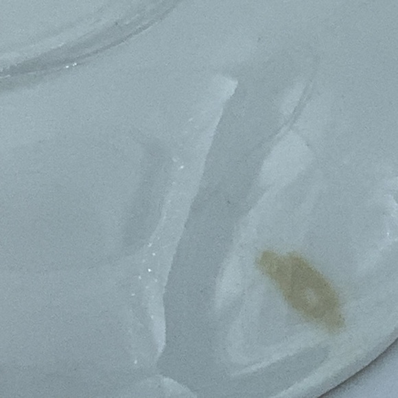 Royal Dover English Bone China Floral Bouquet Teacup and Saucer - Picture 10 of 11